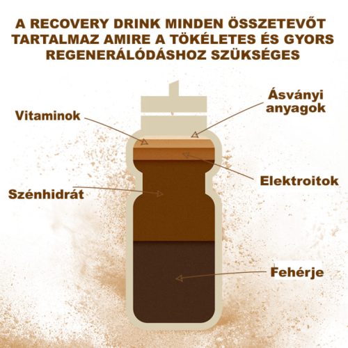 Új! Recovery Drink Csokoládé 450g (9 adag)