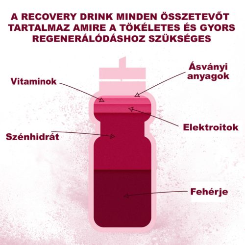 Új! Recovery Drink Nyárigyümölcs 450g (9 adag)